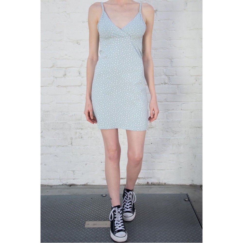 NWT Brandy Melville amara floral dress